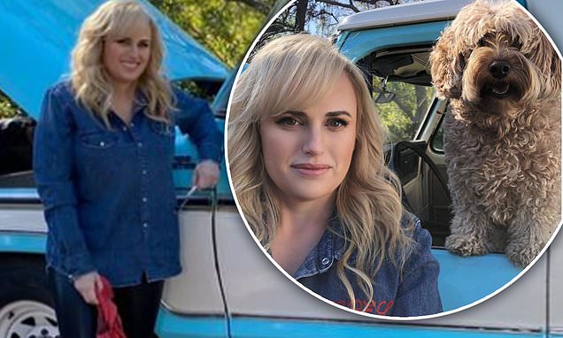 Rebel Wilson continues to show off her incredible 30 kilogram weight loss on set of Pooch Perfect  | Daily Mail Online