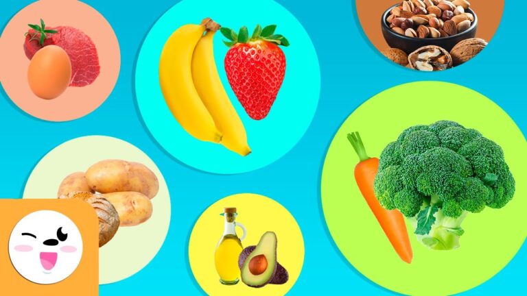 Healthy Eating for Kids - Compilation Video: Carbohydrates, Proteins, Vitamins, Mineral Salts, Fats