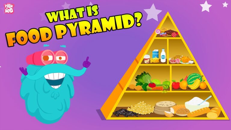 FOOD PYRAMID | How Different Foods Affect Your Body | The Dr Binocs Show | Peekaboo Kidz