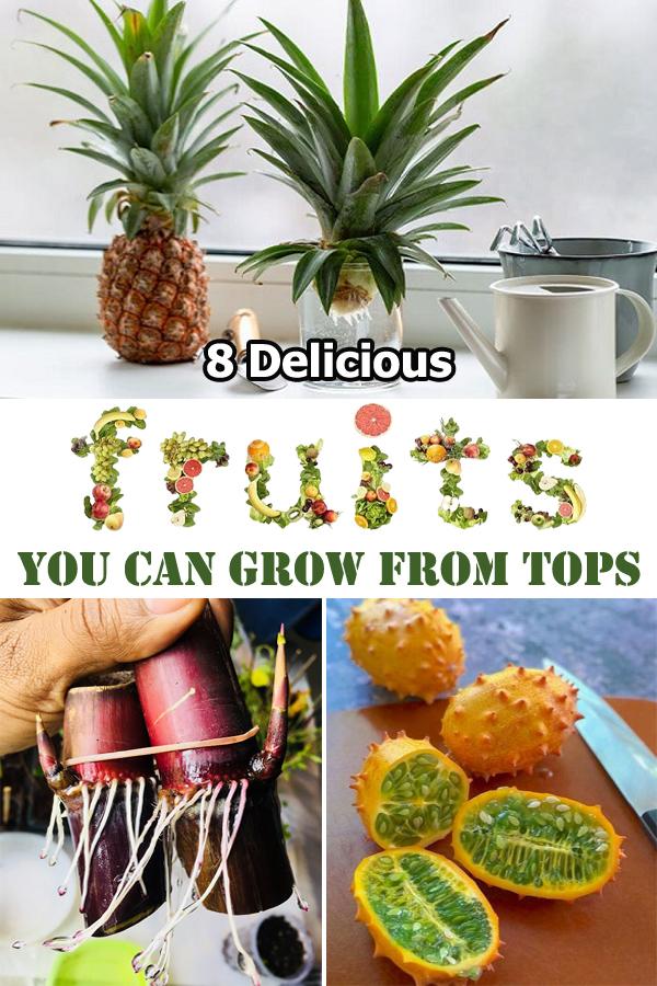8 Delicious Fruits You Can Grow from Tops | Balcony Garden Web
